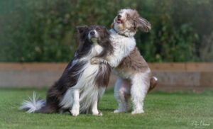 Bodie &amp; Eliza 1