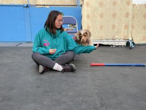 IMG_3336