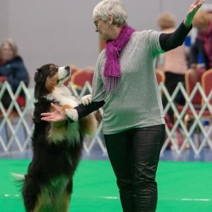 Lincsdogtraining-img-17