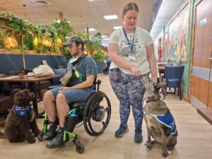 Assistance Dog 1