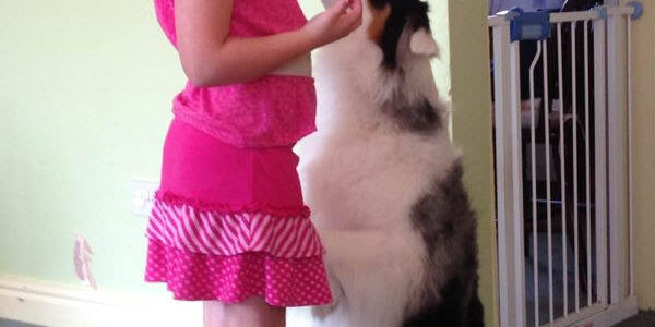 Child giving treats